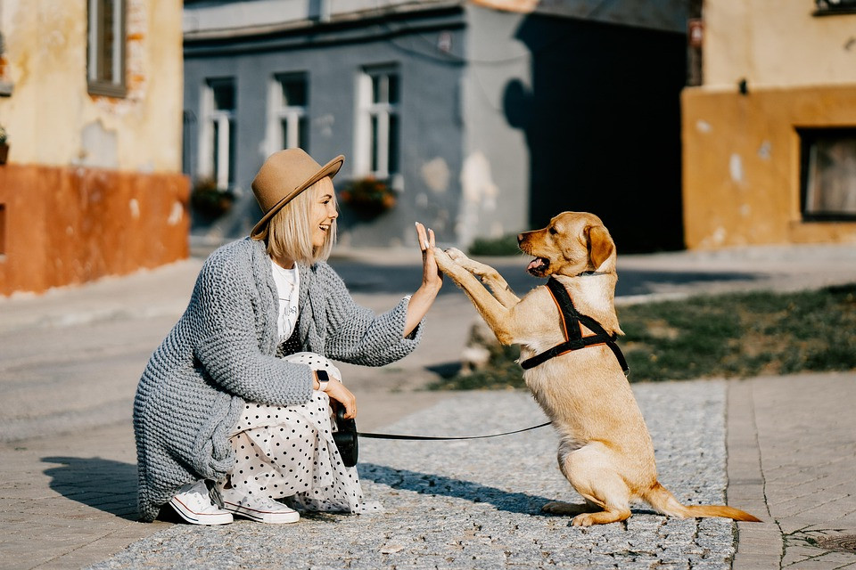 קטע מפתה מספר: זוג בלתי צפוי מוצא תשוקה romances ספקית
